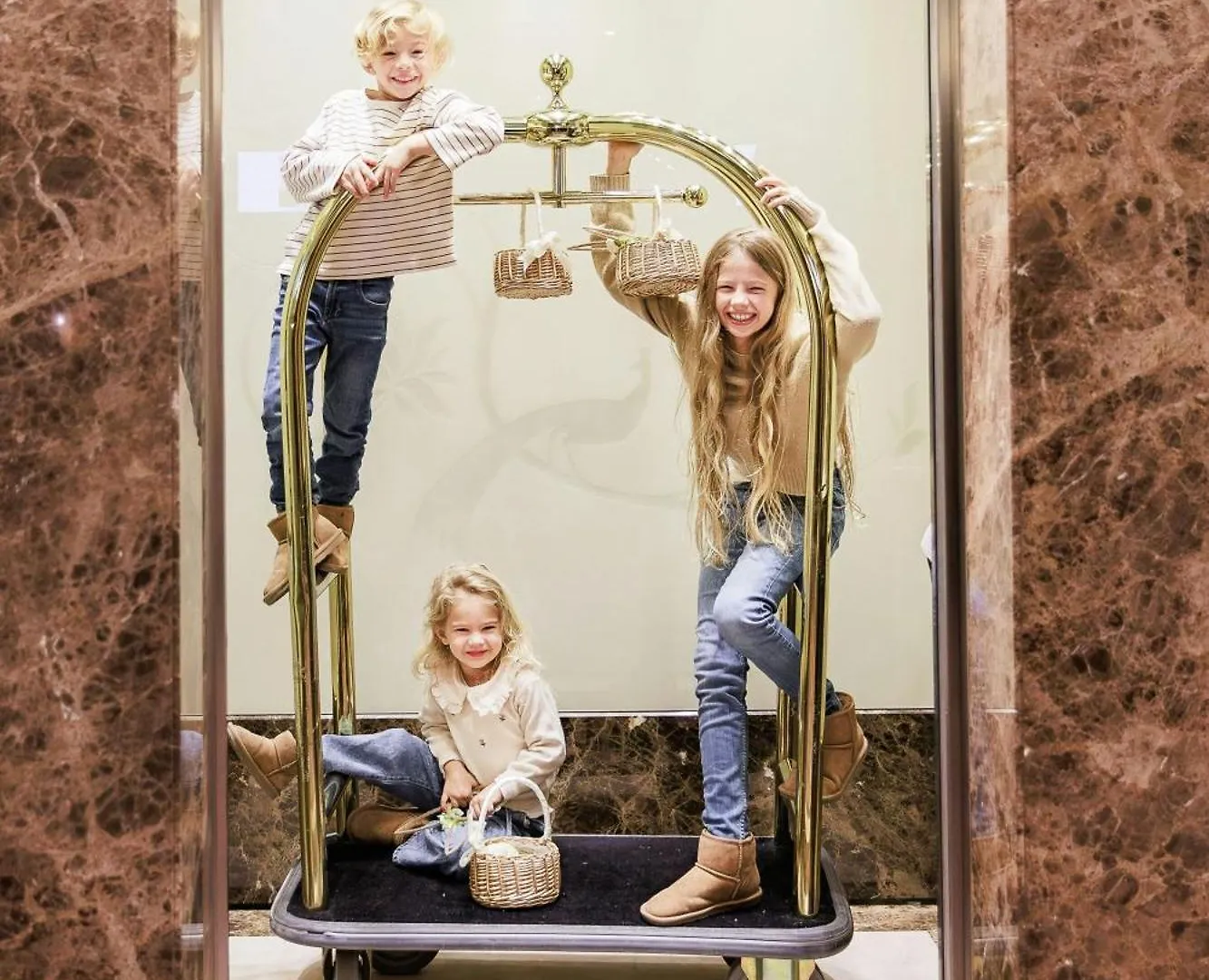The Ritz-Carlton, Vienna Hotel